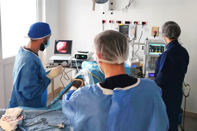 Clinica Veterinaria Parco delle Sabine Roma