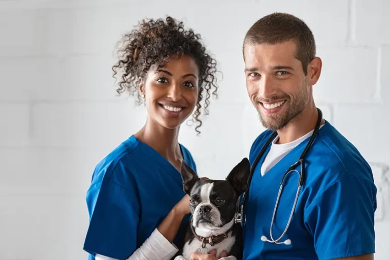 Clinica Veterinaria Parco delle Sabine Roma