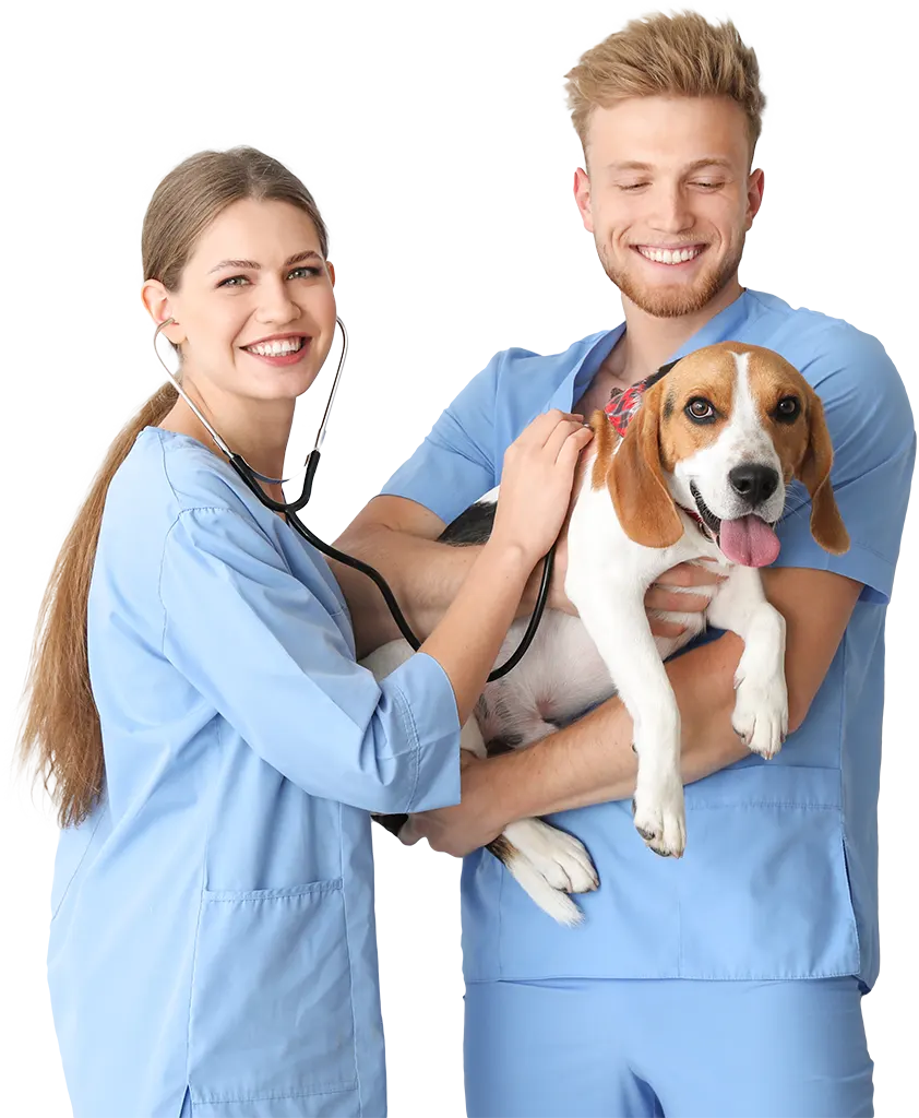 Clinica Veterinaria Parco delle Sabine Roma