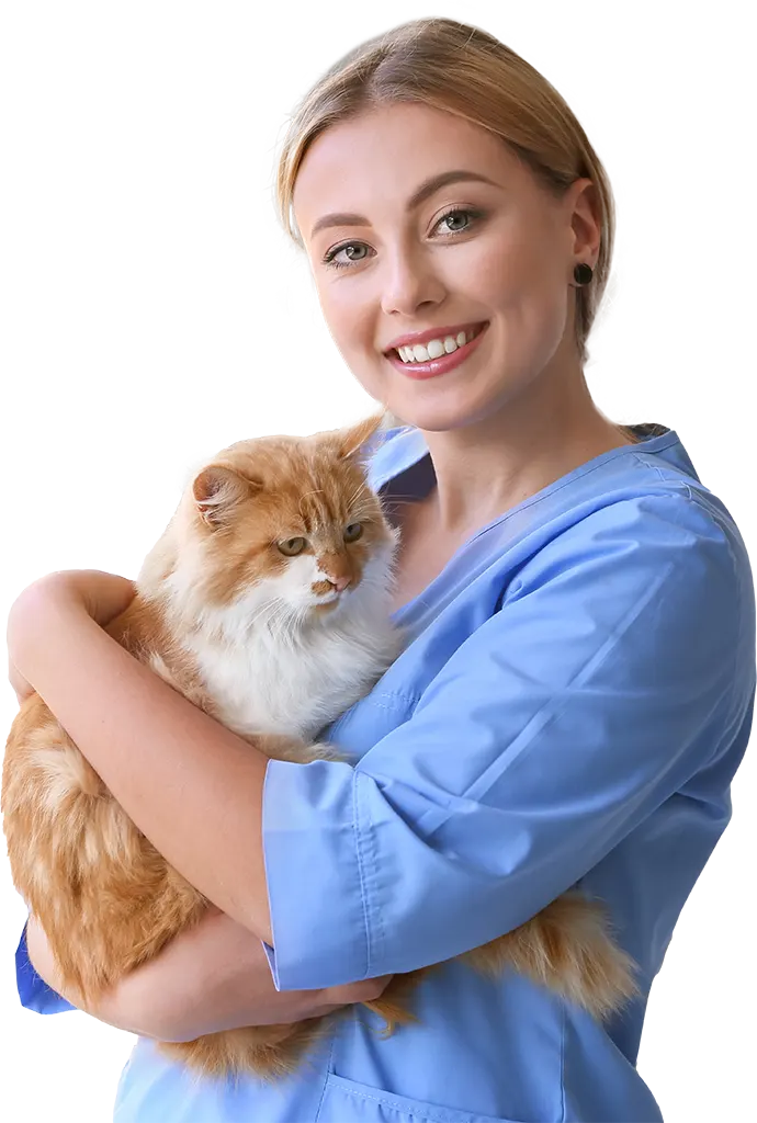 Clinica Veterinaria Parco delle Sabine Roma