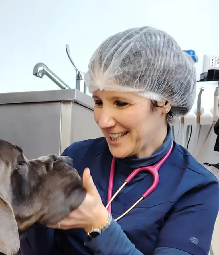 Federica Bellocchi - Clinica Veterinaria Parco delle Sabine